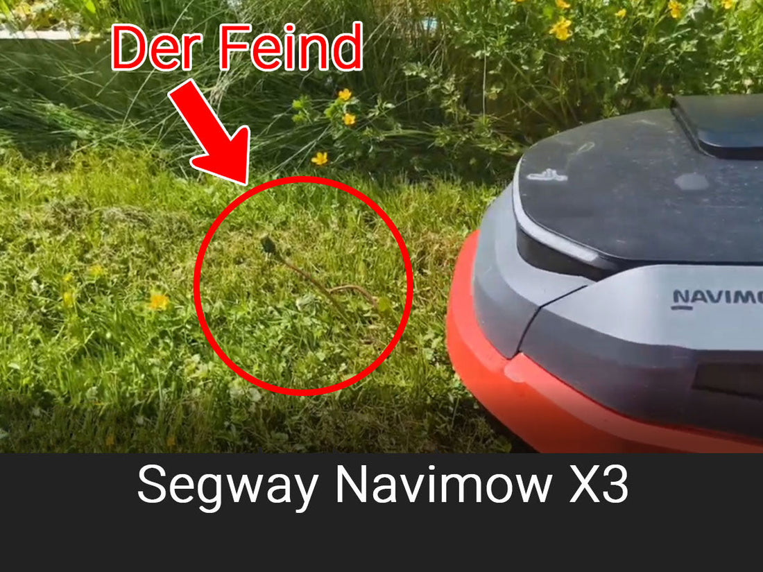 Segway Navimow X3 – Warum wir ihn (noch) nicht verkaufen