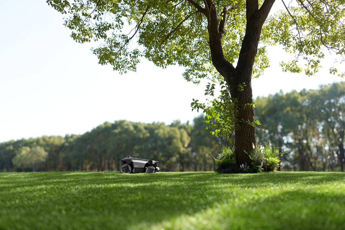 Roborock RockMow Z120 LiDAR Mähroboter