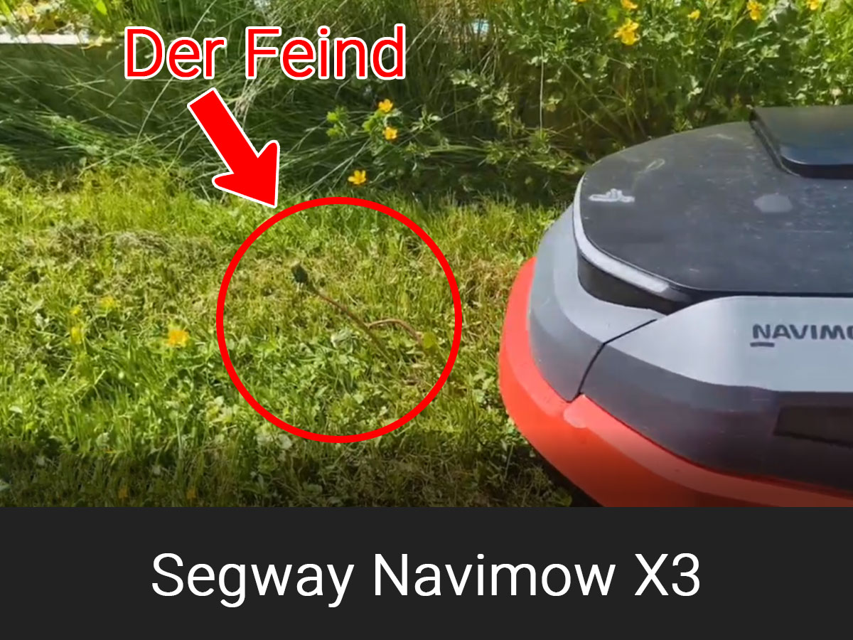 robocenter-segway-x3-warum-wir-ihn-noch-nicht-verkaufen-1200x900px